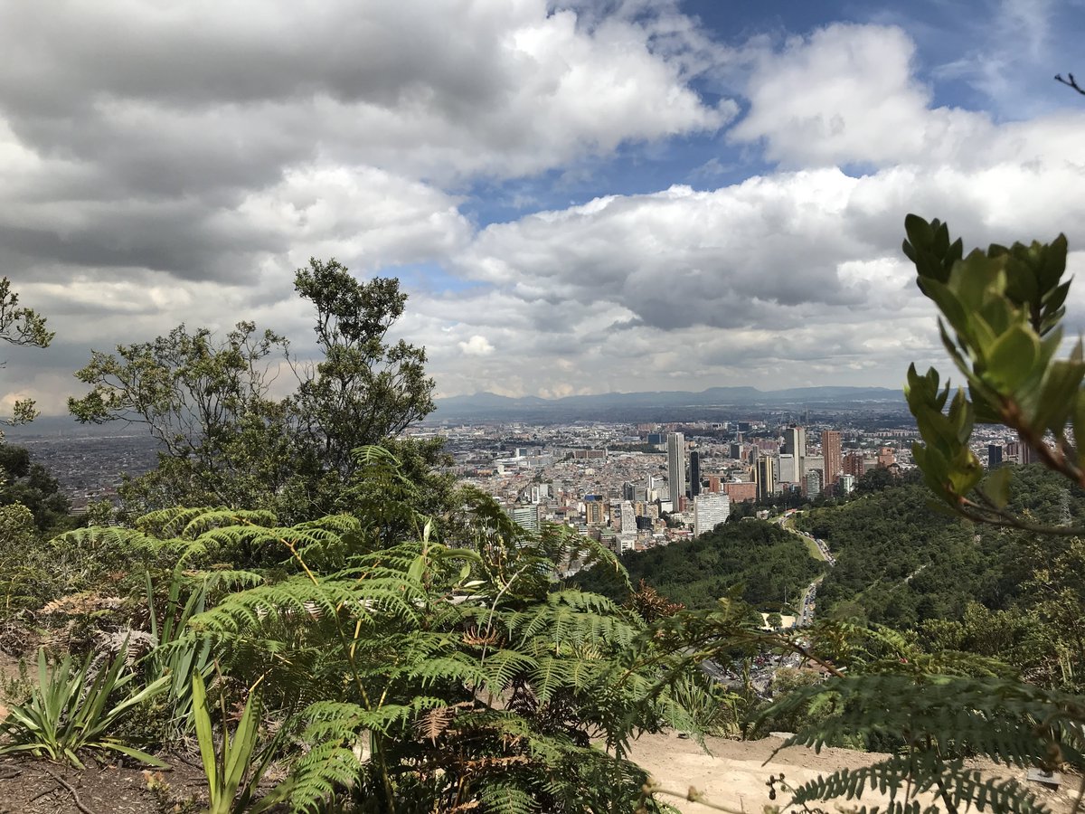 valaaguelaquesi's tweet photo. #PlanRecomendado ¡Prográmese! 5 senderos o parques para visitar durante fin de año
https://t.co/32dN8tvGDG https://t.co/2YWzGkInGz