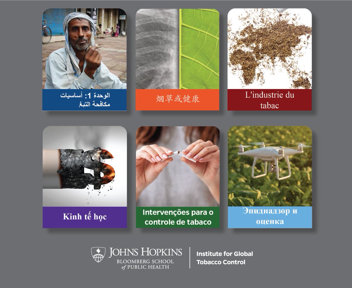 IGTC_Hopkins's tweet photo. Learn about important tobacco control issues from Global Tobacco Control: Learning from the Experts, our free, online course available in eight languages. Get training in Arabic, Chinese, French, English, Portuguese, Russian, Spanish or Vietnamese.

https://t.co/UkCdm5Pdxg https://t.co/yAmNxjQG6u