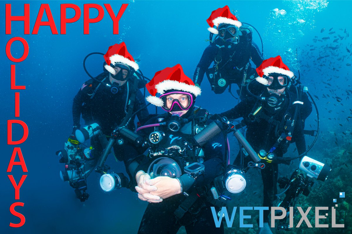 Wishing the Wetpixel community the very happiest of holidays in 2021. 

At the same time, part of Cebu and Bohol have been devastated by a typhoon. Our friends at Magic Oceans Dive Resort have launched a GoFundMe page to support those affected:

gofundme.com/f/support-for-…