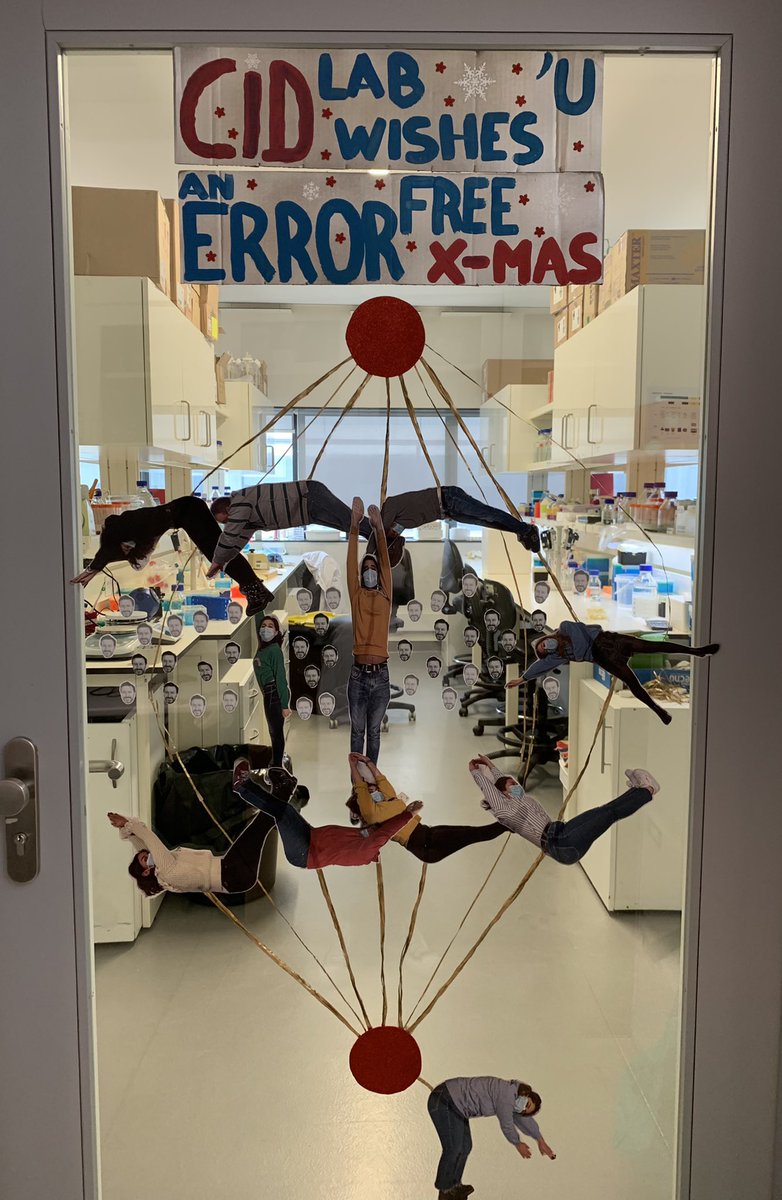 Ana Almeida (@ac_almeida_) on Twitter photo Happy holidays!!🎄✨<a href="/mitosisrocks/">Maiato Lab</a> <a href="/i3S_UPorto/">i3S-Instituto de Investigação e Inovação em Saúde</a> #mitosis #anaphase Happy holidays!!🎄✨<a href="/mitosisrocks/">Maiato Lab</a> <a href="/i3S_UPorto/">i3S-Instituto de Investigação e Inovação em Saúde</a> #mitosis #anaphase