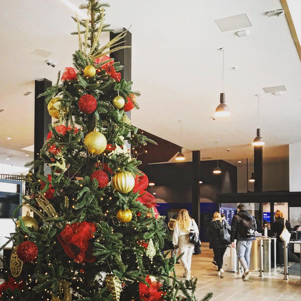 From the #ParaCoach team, we wish all our partners &amp; friends a wonderful Christmas &amp; prosperous 2022. Don’t miss the launch of our #ParaCoachLearningPlatform &amp; eLearning coaching course in #2022 as we continue to connect learn &amp; advocate for  inclusive &amp; empowering practices.