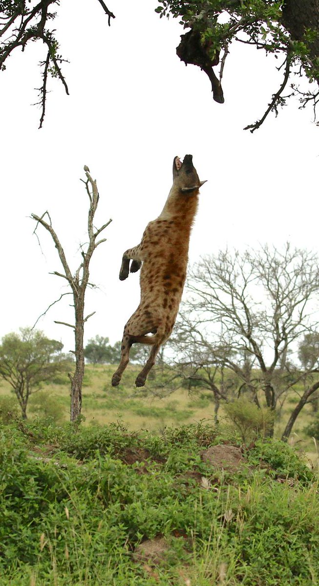 HourlyYeen's tweet photo. https://t.co/5iljm4mgab