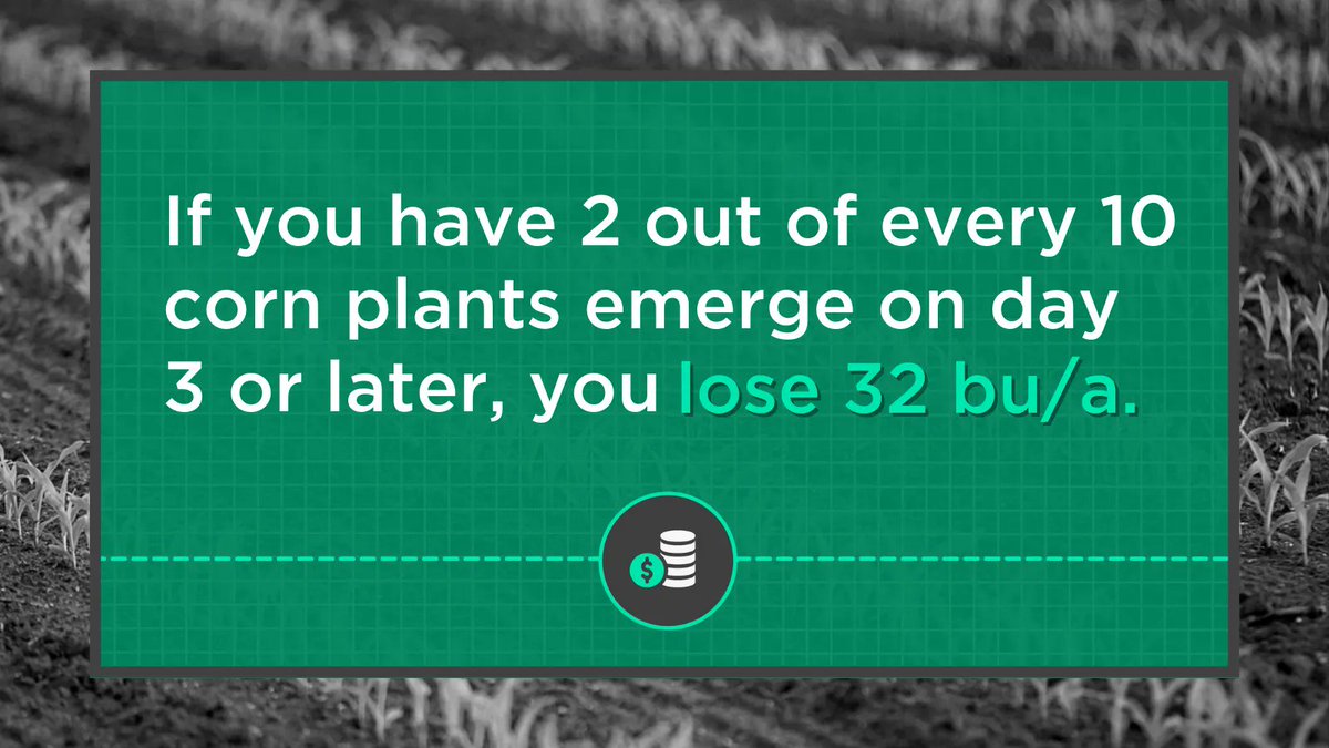 Precision Planting tweet media