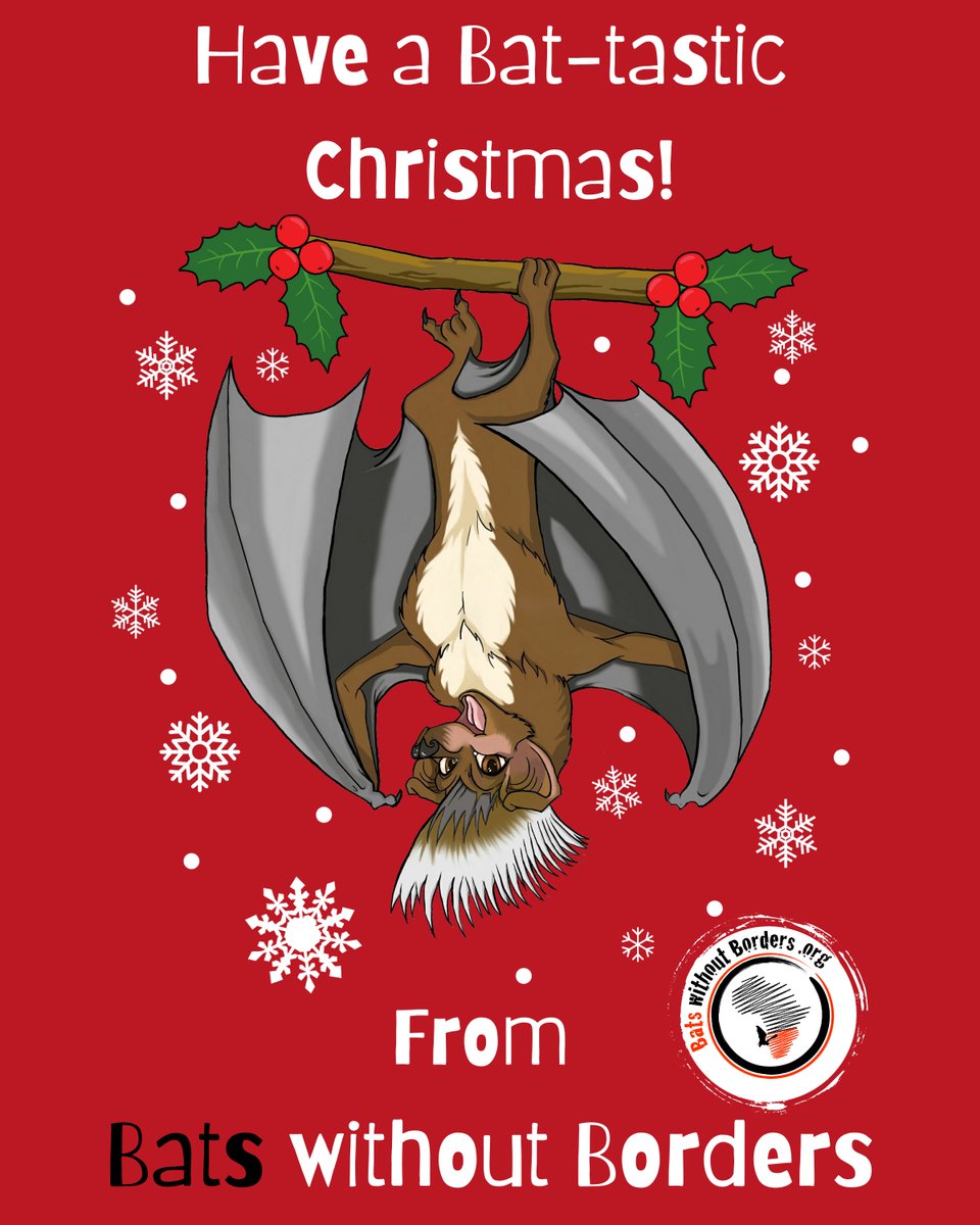 bats_w_borders's tweet photo. #MerryChristmas from #BatswithoutBorders! 🥳🦇🎄 We are so #grateful to our volunteers, sponsors, social media followers, board members &amp; advisors! Have a #wonderful #Christmas &amp; a #HappyNewYear! 

#Christmas2021 #ThankYou #Charity #Conservation #Bats #SouthernAfrica https://t.co/6AE24p6dGu