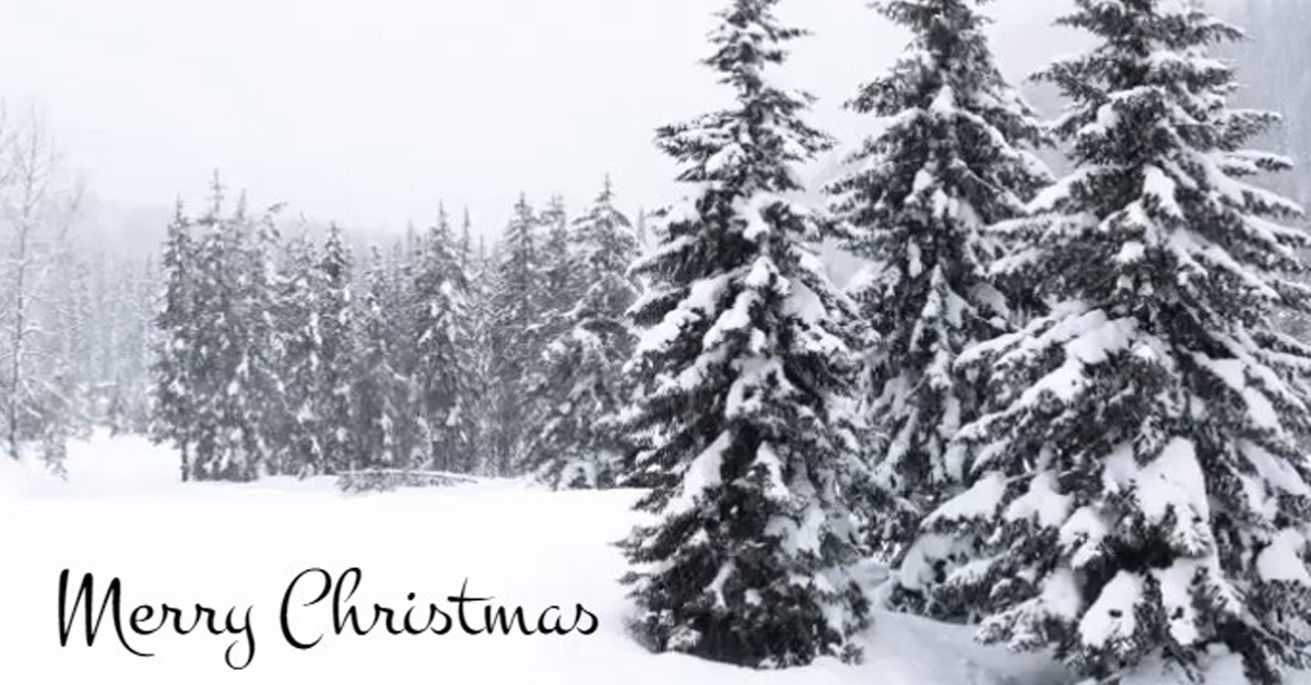 HeylRoyster's tweet photo. Merry Christmas from Heyl Royster!
https://t.co/s56ALwaGpj https://t.co/OCOngQ0sJ8