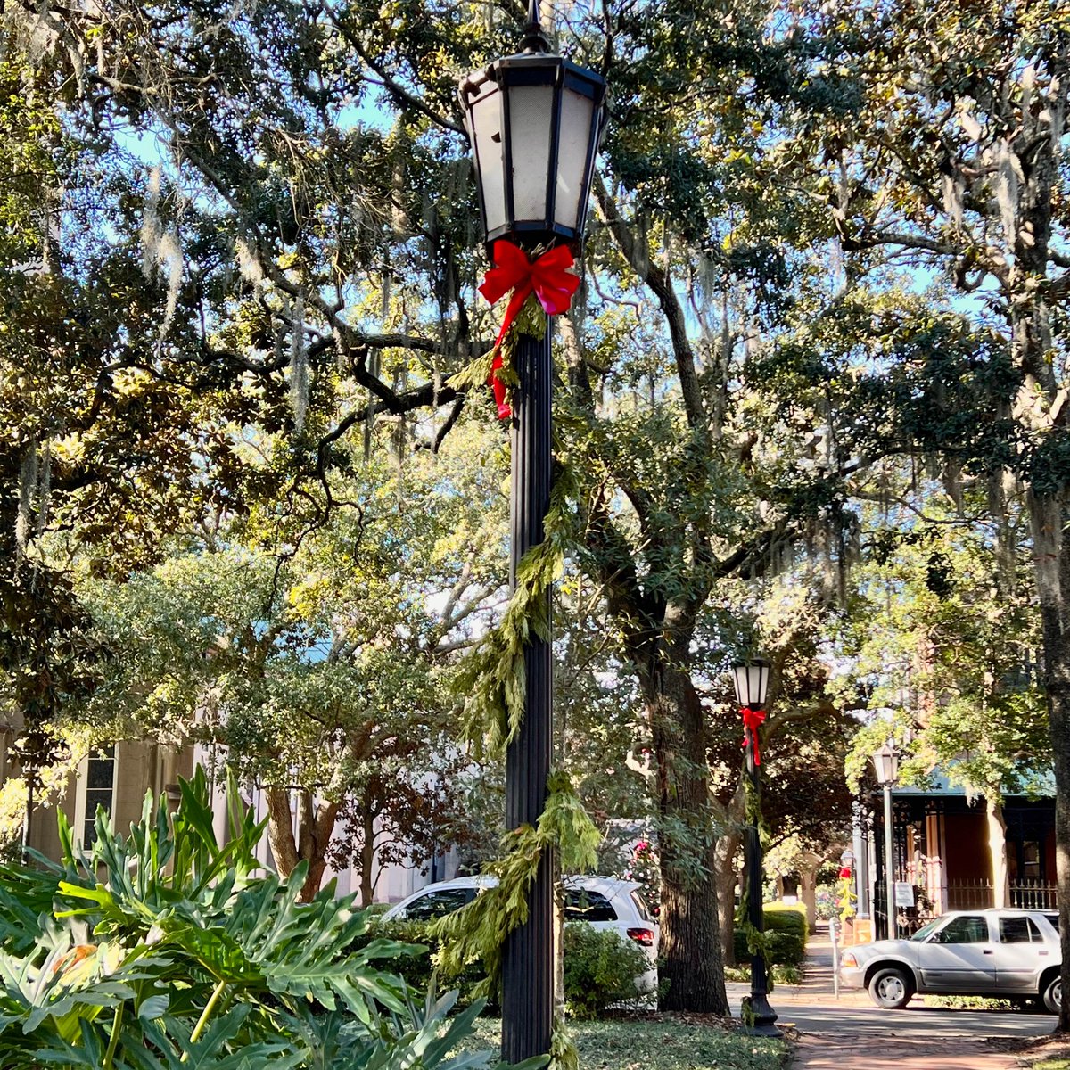 AbshirePR's tweet photo. ‘Tis the season for red bows and garland round every square! #savannahga #christmas #tistheseason https://t.co/U0R6WRBruZ