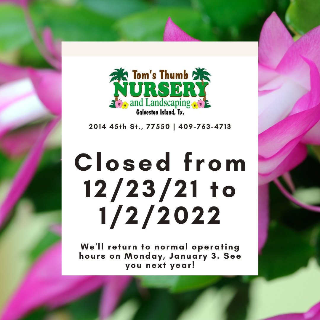 Tom Thumb Christmas Hours 2022 Tom's Thumb Nursery, Landscaping, & Boutique (@Tomsthumbgtx) / Twitter