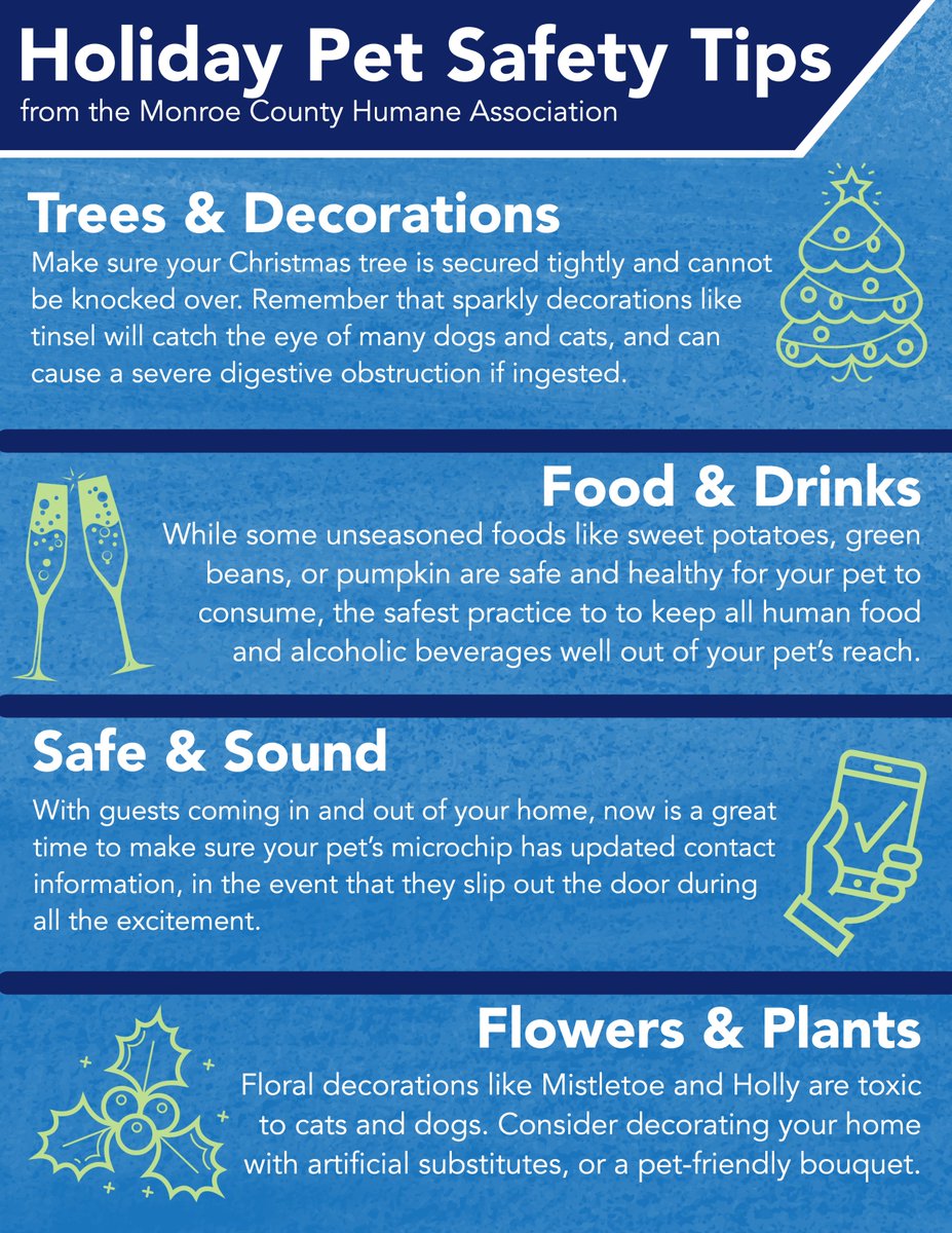 mcha1's tweet photo. Before you kick off your celebration, check out these helpful tips for avoiding common Holiday hazards for pets! https://t.co/CQkuMujalJ