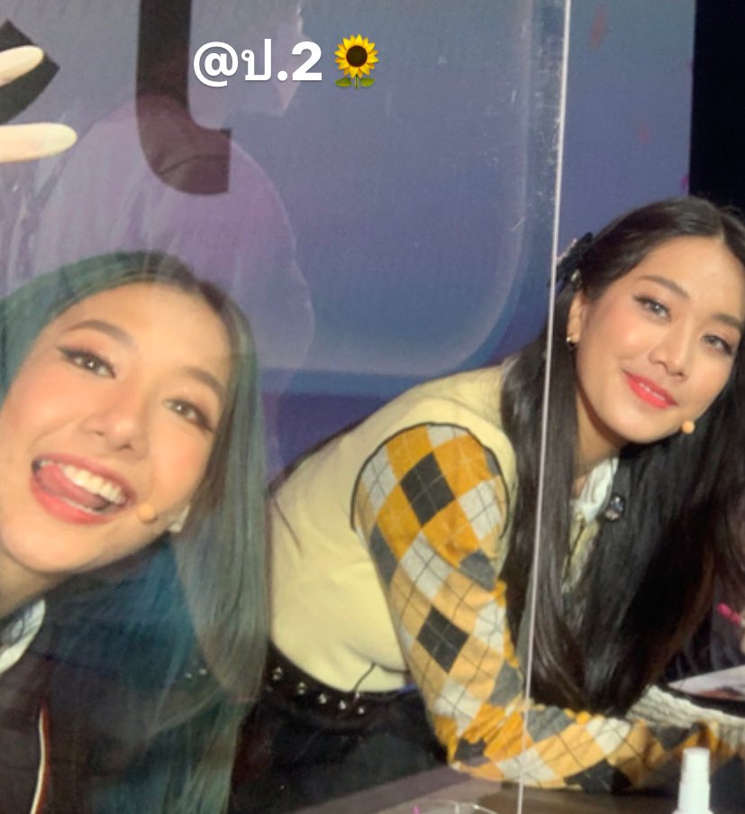 ซามอยด์เด็กกับแมวหยิ่ง !