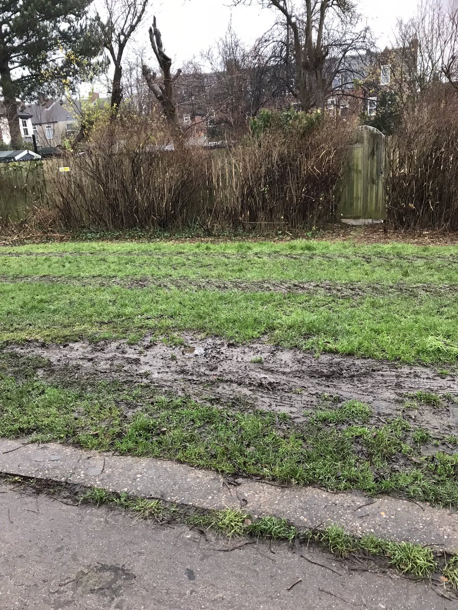 And so it continues, great work <a href="/Hullccnews/">Hull City Council</a> What are our elected officials doing about this destruction? Green City 🤔🤔??