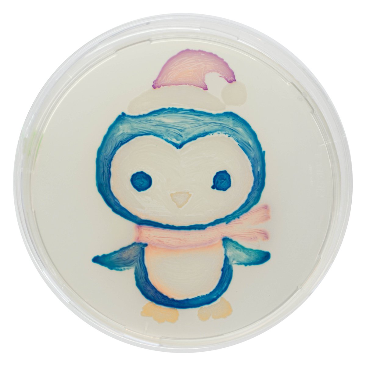 CHROMagar's tweet image. Christmas Agar Calendar 🎄🎁 D-2 
Another way to use CHROMagar Orientation, for the detection of cuty penguin 🐧

More on chromagar.com 
#culturemedia #chromogenictechnology #chromogenicculturemedia #microbiology #agarart