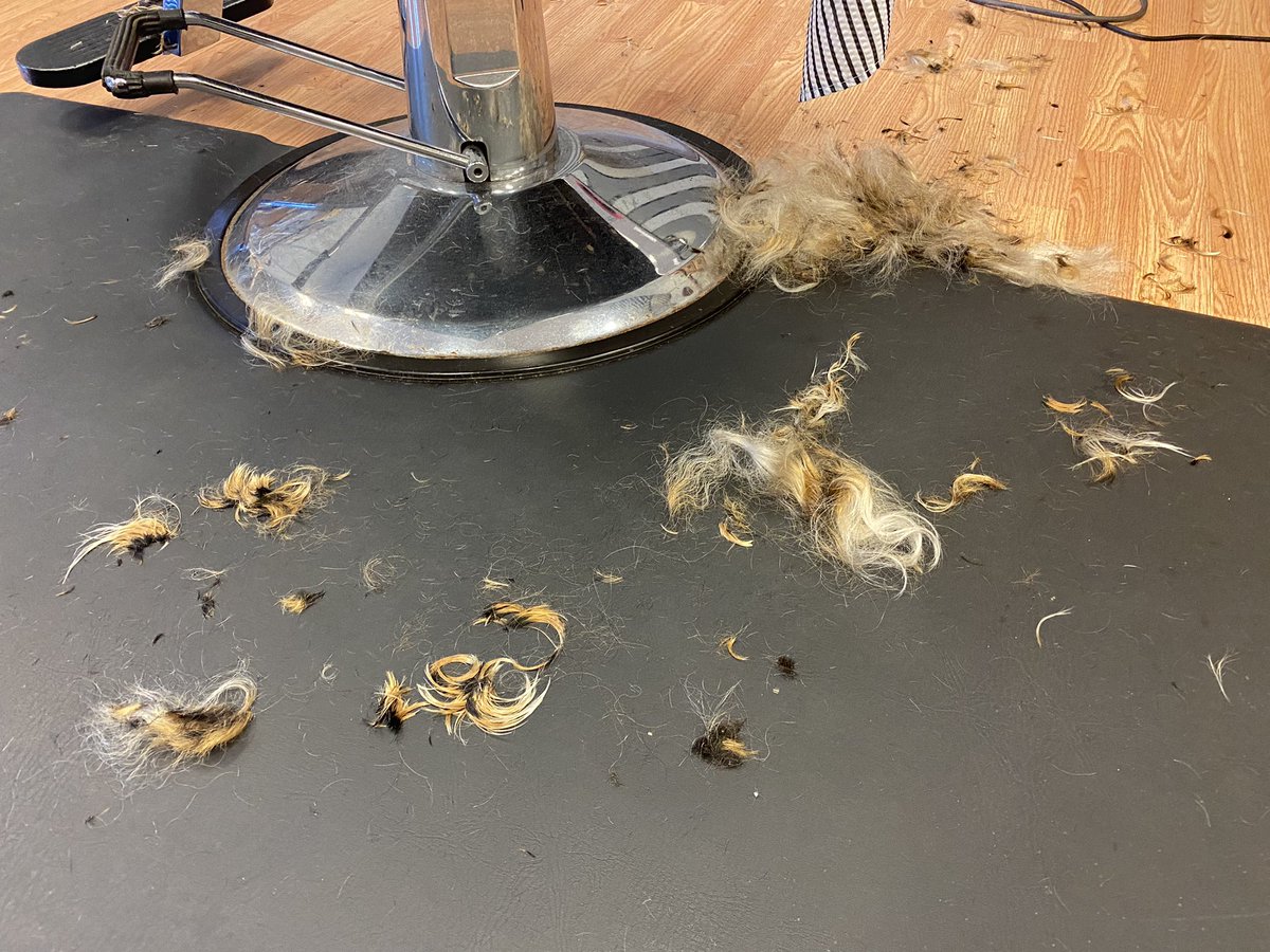 GabeMcDonald_'s tweet photo. RIP to the Chanticleer Chandelier. 

March 2020-December 2021. Had a great run. https://t.co/J1R1thLUMs