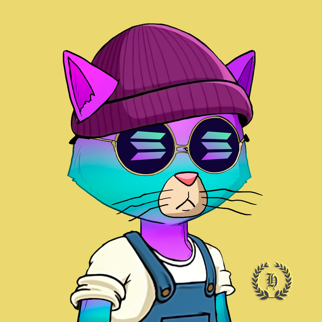 SolanaNerd's tweet photo. i have the rarest solana skin cat cartel on the market... priced at a hefty 50 sol https://t.co/8rFwRXJyNd