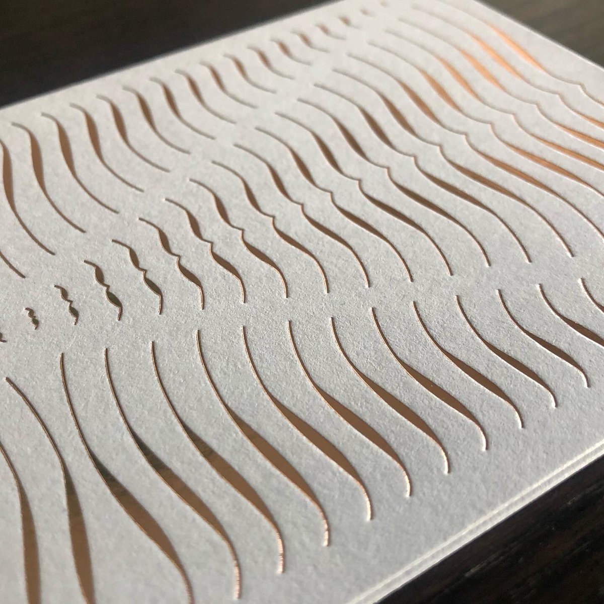 typojo's tweet photo. Accolades no 2 (in a series) – letterpress printed postcards with some copper hotfoil touch ✨#studiotype #typojo https://t.co/AzxoWHpA8N