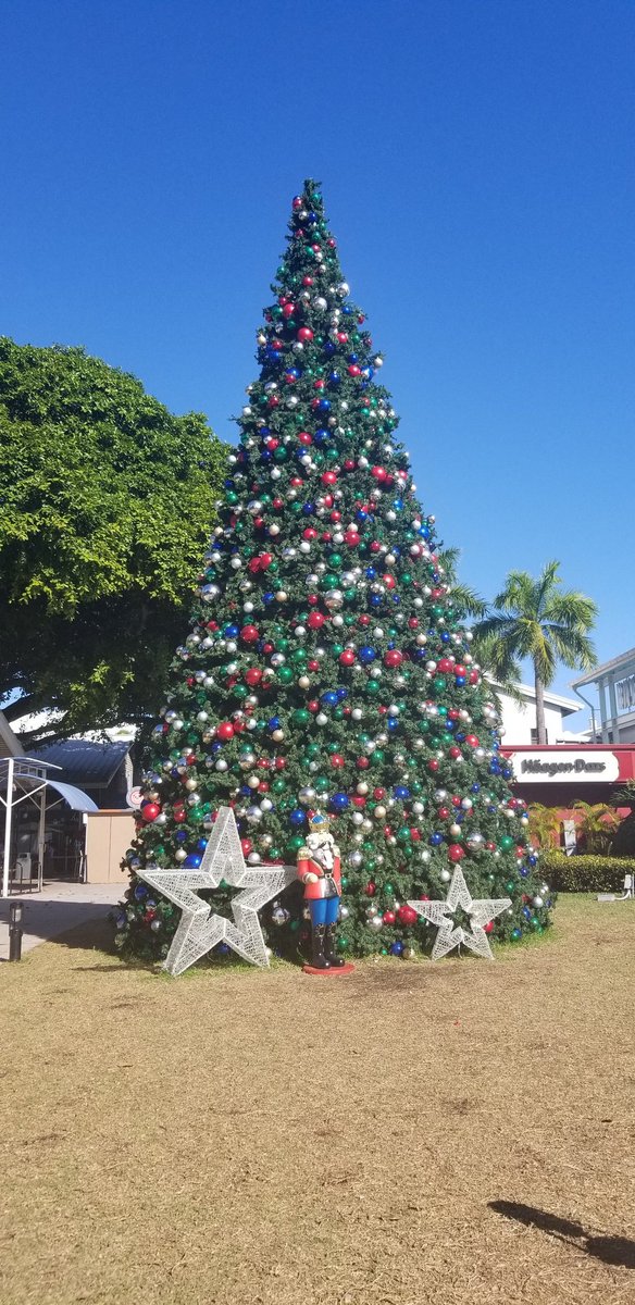 dbloccupancy's tweet image. First stop of the day is #bayside #Miami