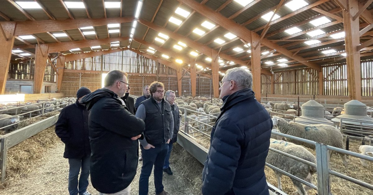 ecvass02's tweet photo. Visite du @Prefet02 chez @georgesmuzart à la découverte des Bergers du Nord Est après les agnelages. 
L’installation des @JeunesAgri avec des projets plein la tête avec des ateliers de diversification permet d’inscrire l’agriculture dans les territoires.
@usaa_02 https://t.co/uCAXgFn0Gg