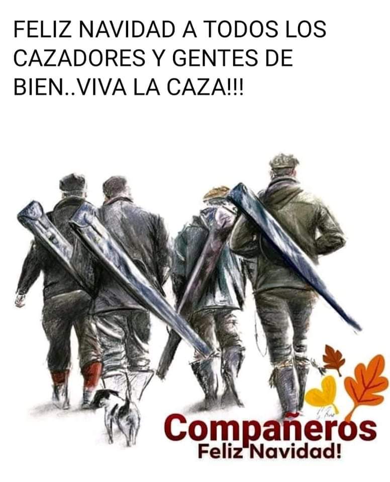 elexlacas's tweet photo. https://t.co/iapLvp83Gp