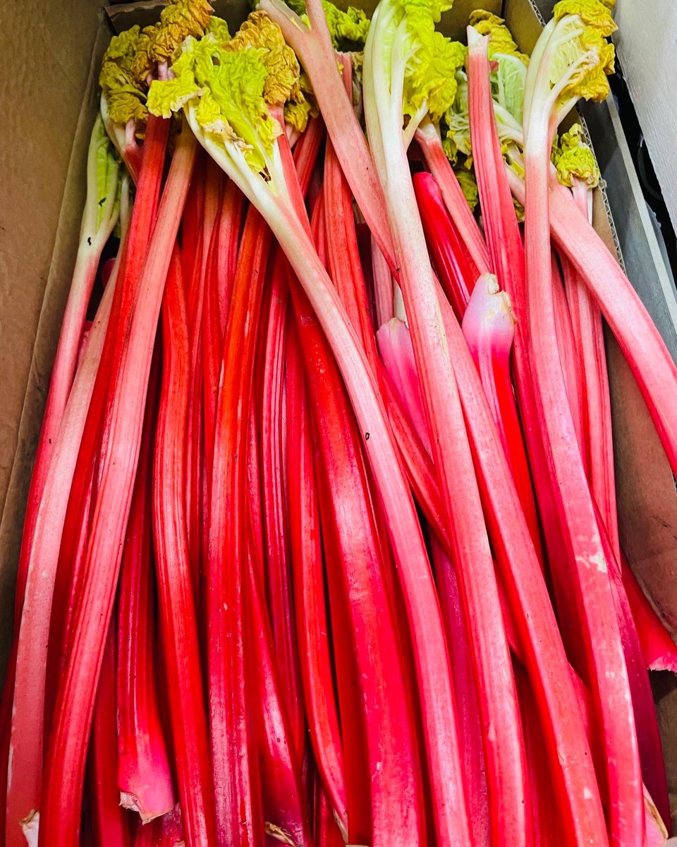 Fantastic to see new season Yorkshire rhubarb in our stores today. #rhubarb #foodservice #eastanglia