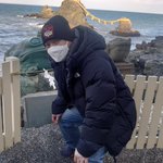 もしんのツイート画像