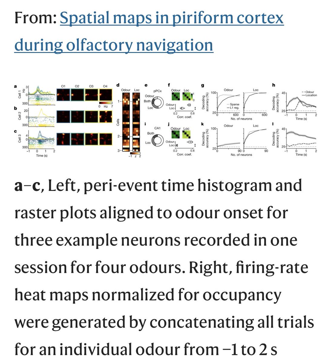 neuroAnant's tweet photo. Exciting new work from Zack Mainen group @zmainen. They found Odor-spatial map in piriform cortex (https://t.co/DSWSmvpsTI) #neuroscience #latestscience https://t.co/OKyZ3aMjeG