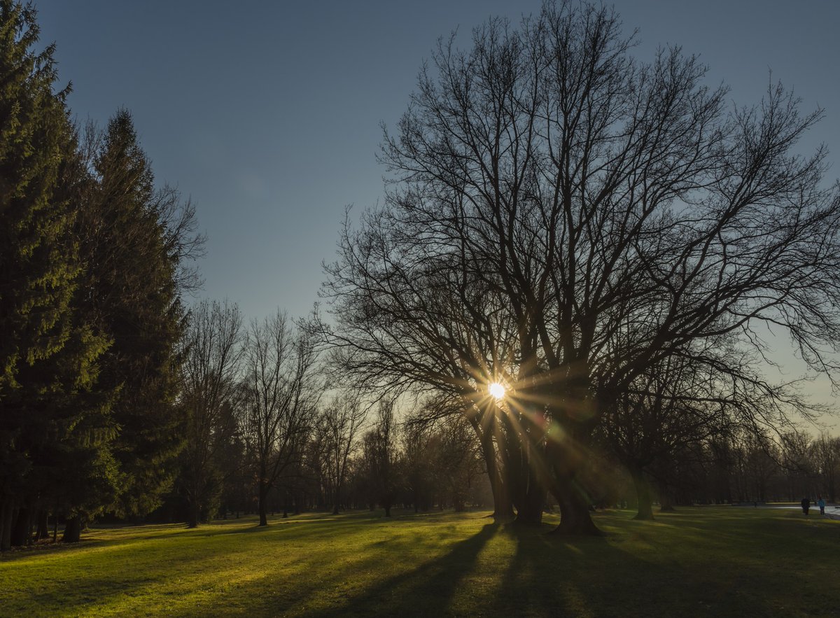 On behalf of all of us at #VHA, we wish a happy and safe holiday season to America’s #Veterans, families, and caregivers. We are honored to serve you.