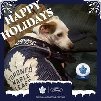 Rock31669's tweet photo. @TheFordFANatic BOWIE MISSES game days but wouldn't miss the #FordPhotoBooth
Happy Holidays to ALL https://t.co/3cMLvNYLp5