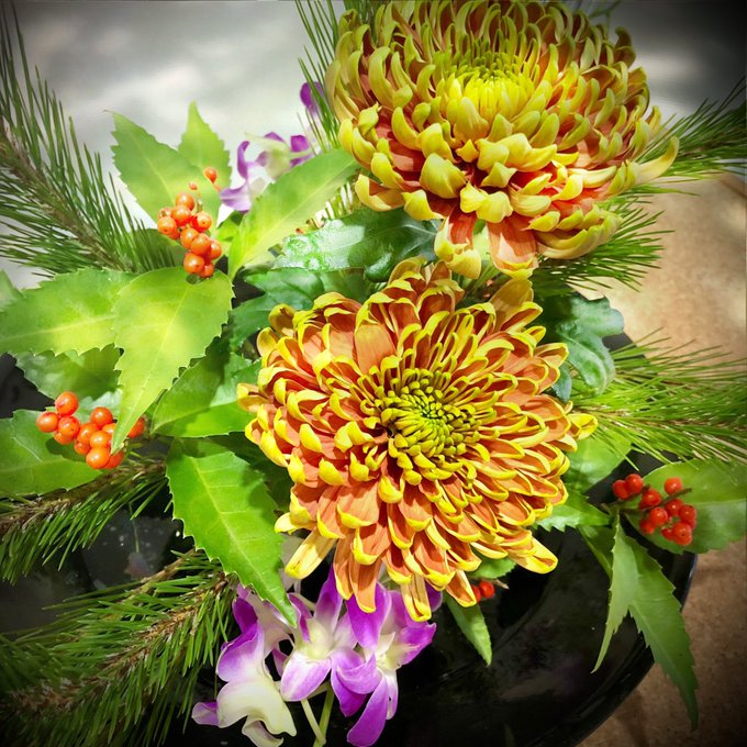 千両のtwitterイラスト検索結果 古い順