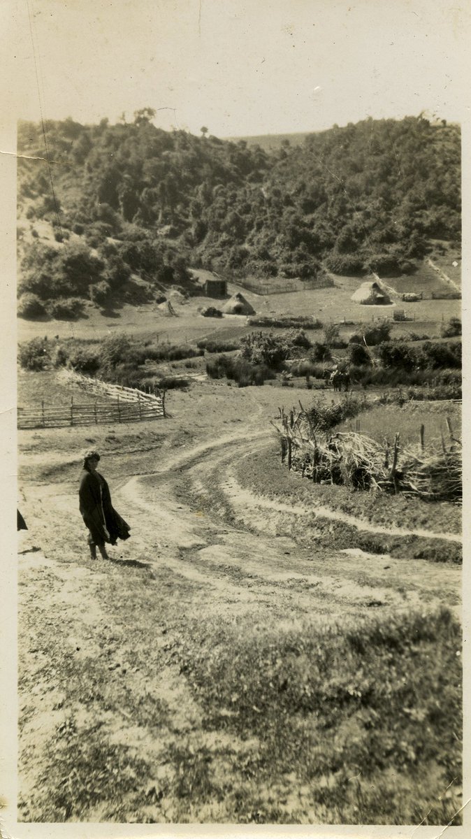 lfuentes_a's tweet photo. Coipuco, cerca de #Cholchol en los años 20. Fotografía de Benedicto Rivas Núñez. https://t.co/0XYEWKipet