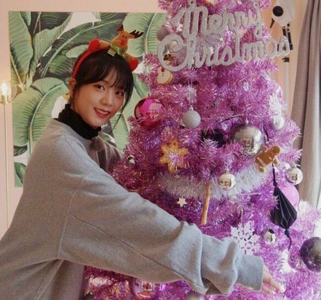 sbjsthinker's tweet photo. christmas is coming!!🎄❤ https://t.co/fqrRYjiWR9