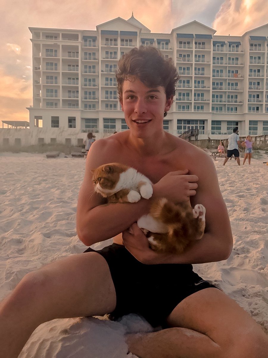 bestpicofshawn's tweet photo. https://t.co/VHVi4xez5H