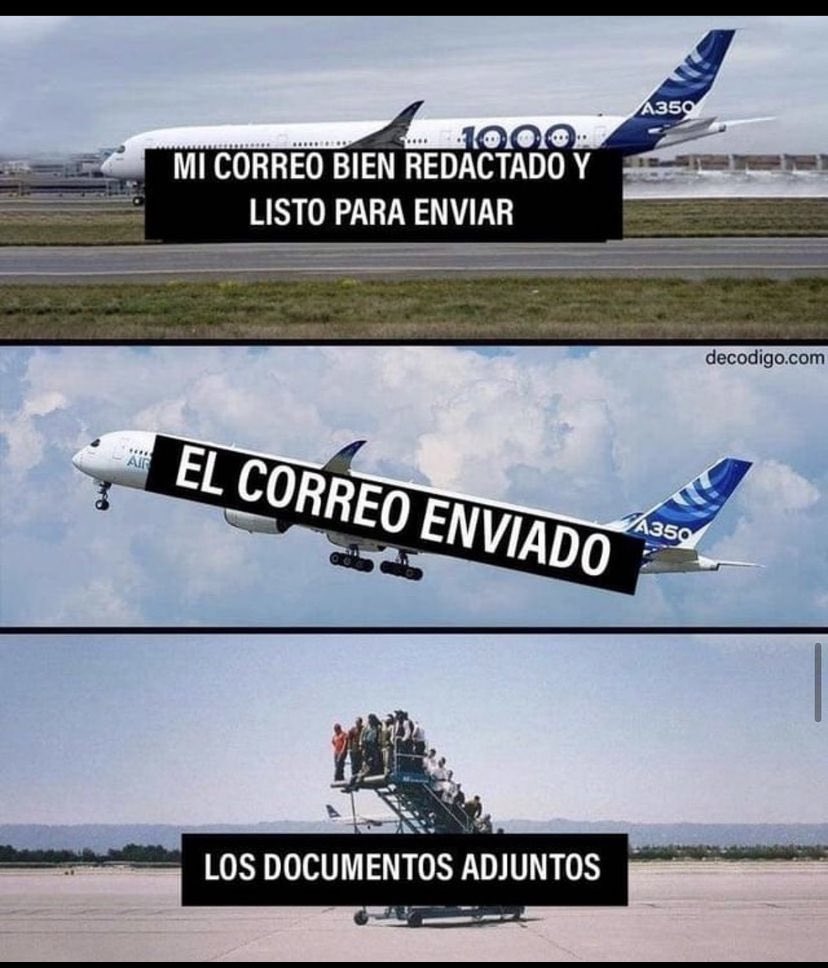 🐧 tweet media