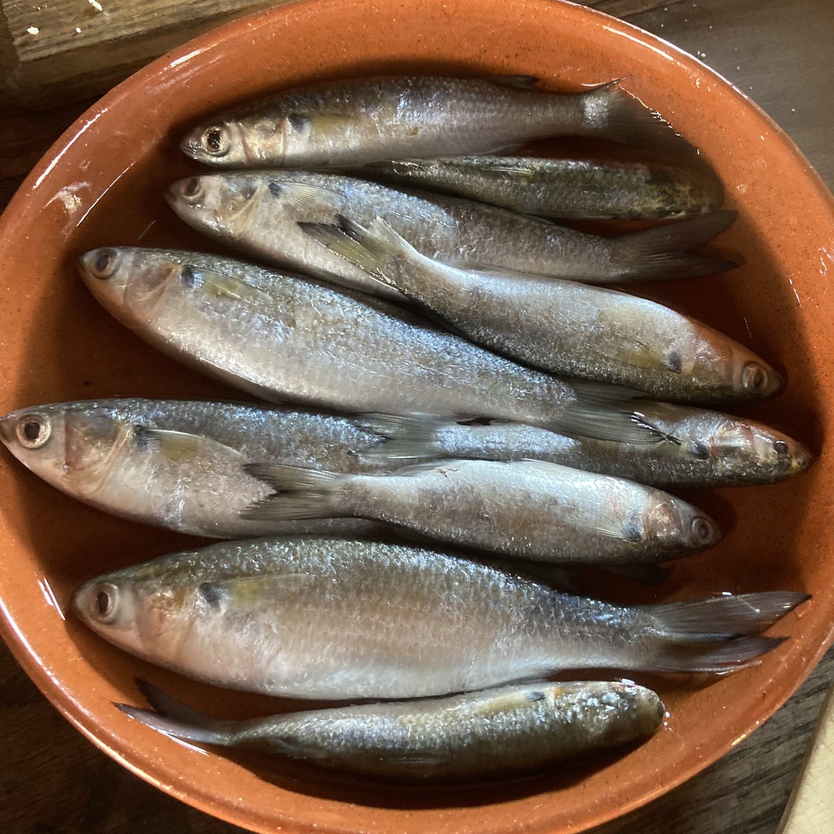 What on earth are we cooking up at #JamestownSettlement this morning? 
#HistoricFoodways #HolidayFoods #ALHFAM