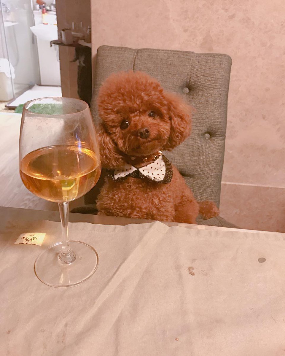 kibumonthisday's tweet photo. [161224] bumkeyk instagram updates

“#applejuice #conversationpartner” https://t.co/wQrzK2GXIY
