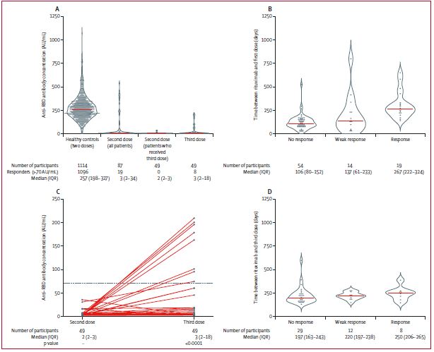 TheLancetRheum's tweet photo. NEW RESEARCH—Humoral and cellular immune responses to two and three doses of SARS-CoV-2 #vaccines in #rituximab-treated patients with #rheumatoidarthritis: a prospective, cohort study https://t.co/aBZrwX84yB #LancetRheumatology @siljews @F_Lund_Johansen @Dr_EAH https://t.co/ONu3eDz4OU