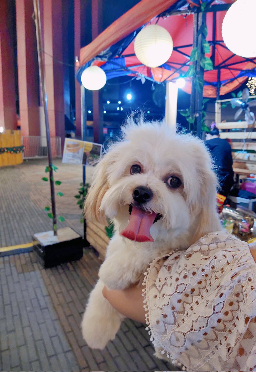 abbyloves08's tweet photo. Laki laki mo na nga, hilig mo pa din  magpakarga! 🥴😌♥️

#Mikmik https://t.co/d4mWUUvTeg