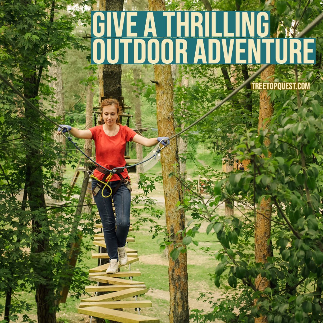 TreetopQuest's tweet photo. Pssst...it's not too late for this exciting gift idea! Plus, you can print or email it now! 🥰 https://t.co/WDDzZwDMDT https://t.co/kigPCc6PjV