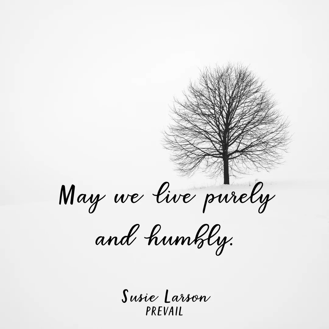 May we live purely &amp; humbly, may we consume only what we need &amp; give generously to others, &amp; may we engage in this faith journey with our whole hearts &amp; tend to the needs around us. God empowers us to live differently from the rest of the world.