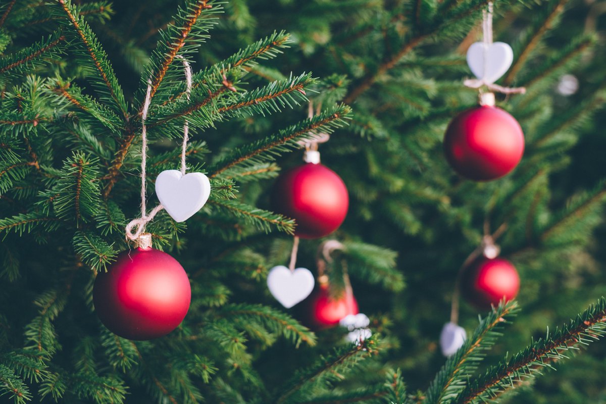 Christmas is almost here!

What is your favorite holiday tradition?

Let us know in the comments!
.
.
. 
#TransactionCoordinator #YourFavoriteTC #FloridaRealEstate #Realtor #FloridaRealtor #RealEstateAgent #SouthFloridaRealEstate #MiamiRealEstate #BrowardRealEstate