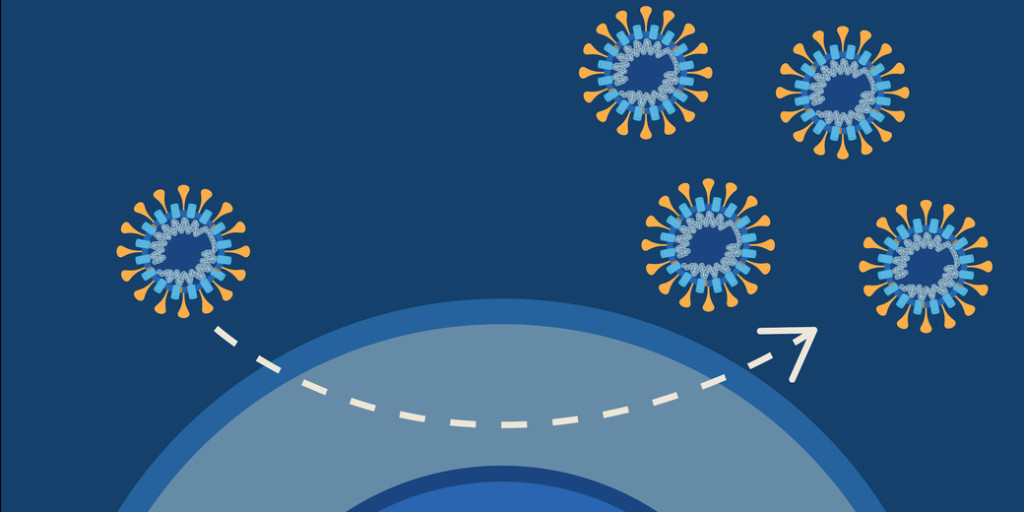 LabXchange's tweet photo. When COVID-19 first emerged, bats were a hot topic! Here's a refresher on why bats don't get sick from viruses: https://t.co/0GLnoLCDI9
#DailyLabXchange #ScienceTwitter https://t.co/SEk0IdiBvV