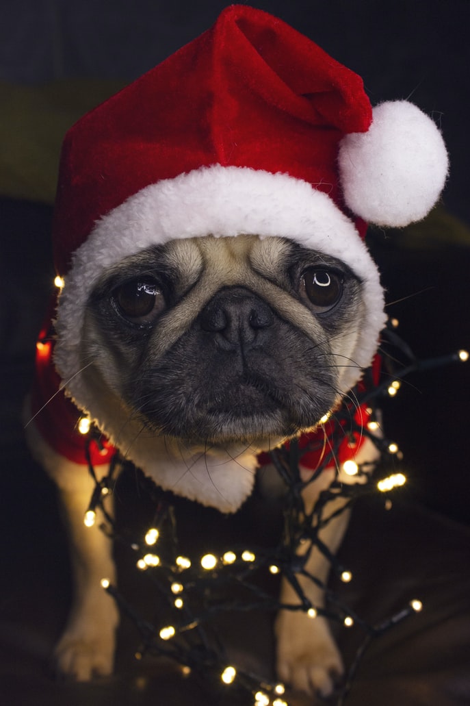 PragerMicro's tweet photo. Happy holidays &amp; best wishes for the new year from the team at Prager Microsystems! https://t.co/exCsT0hZxq