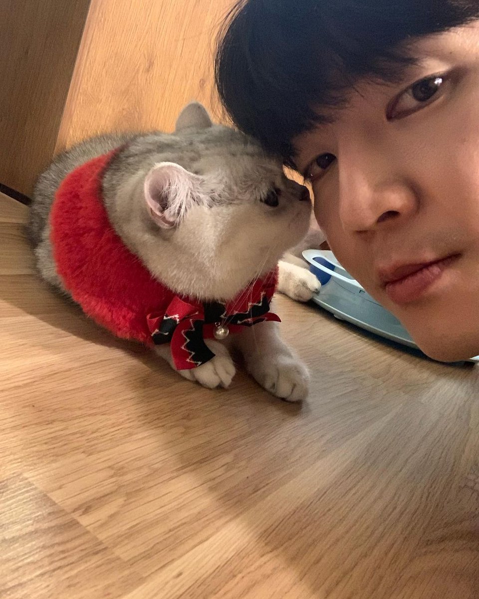 jinho_cello's tweet photo. https://t.co/Si2ca6nlNc