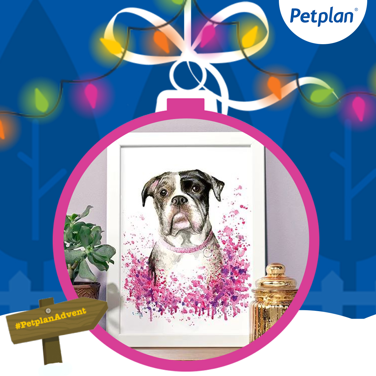 Strike a pose for day 23! For a gift to keep forever, enter the #PetplanAdvent calendar now at bit.ly/PetplanAdvent for your chance to win a voucher worth £200 and bag yourself a custom pet portrait by artist @AstridBrisson 🎨 Suitable for a dog, cat, rabbit or horse 🐶😸🐰🐴