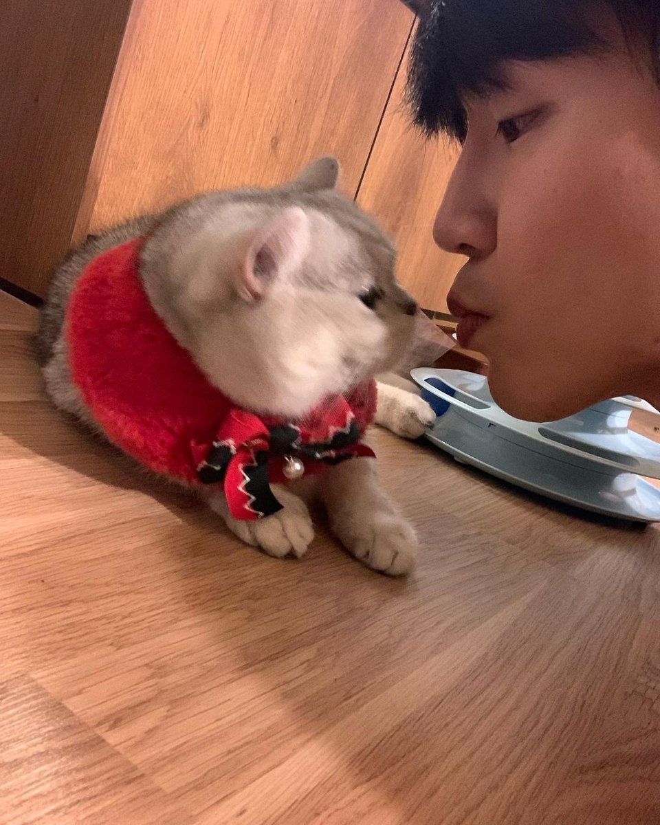 jinho_cello's tweet photo. https://t.co/Si2ca6nlNc