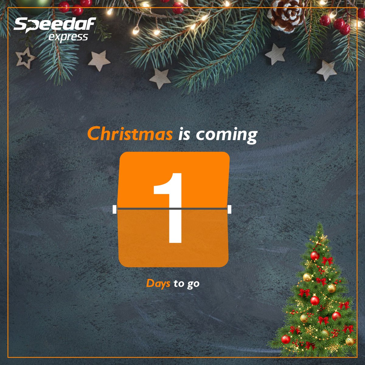 Counting down 1 day to Christmas. Speedaf is still with you and wishes you a Merry Christmas and a happy new year 2022.