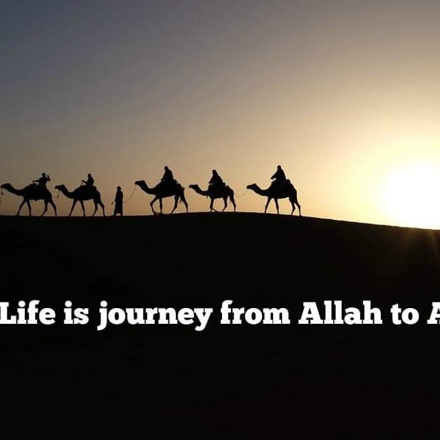 Muhamma23007497's tweet photo. #NewProfilePic https://t.co/59PLajOlXS