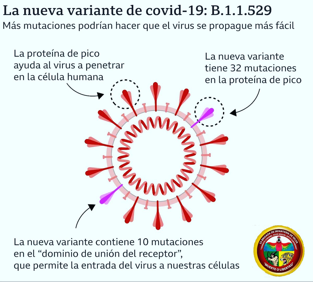 53Brinfs's tweet photo. 📣 #entérate #omicron ☣•| Conoce más de esta nueva Variante, en esta festividades no olvides usar la Mascarilla cuida de ti y toda tu familia. |•
#SelvaticosAtriunfar https://t.co/qzPMuE1UAh