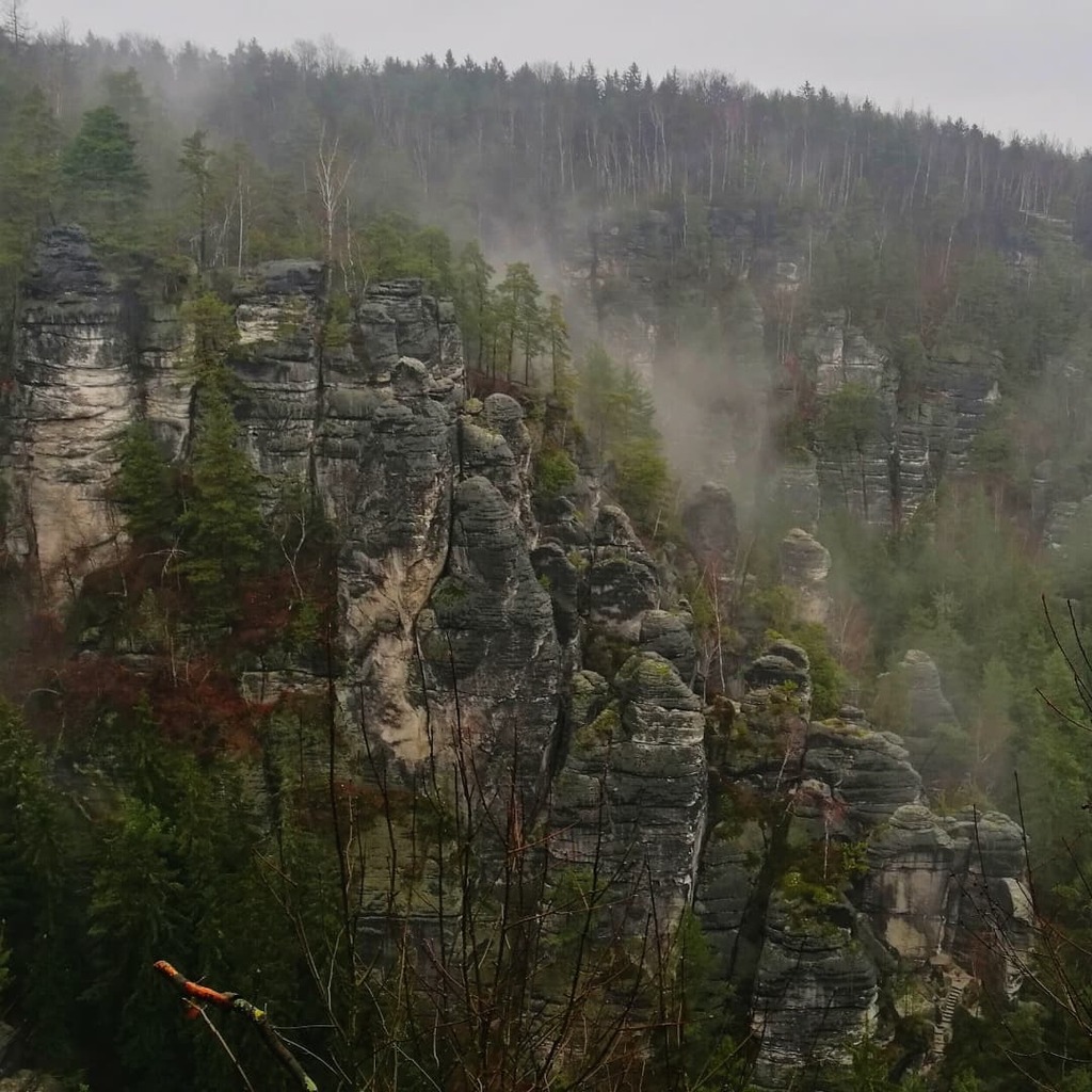 DuteNait's tweet photo. Saxons Swize
A Rainy day around the Bastei, Rock Fortress.

#clouds #cloudnebula #cloudy #fog #foggyday #rain #rainyday #mountains #forest #landscape #saxony #germany #travel #travelphotography #hiking #hikingadventures #elbsandsteingebirge #sandstone #c… https://t.co/wfWDB60zMy https://t.co/iBN7JYrkku