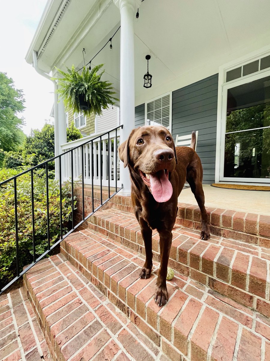 LaurenADowney's tweet photo. Thanks to @andrewperloff & @dpshow we have Nezzy Jones Jr. III…yes in *that* cadence. Nezzy comes from the old Nesbit Inn on Nantucket. No shock ACK is home to way too many f’ing great whites.
Cheers to your next chapter, McLovin….and #suckitbackrow. 🍻 https://t.co/2CdkKpAbzj