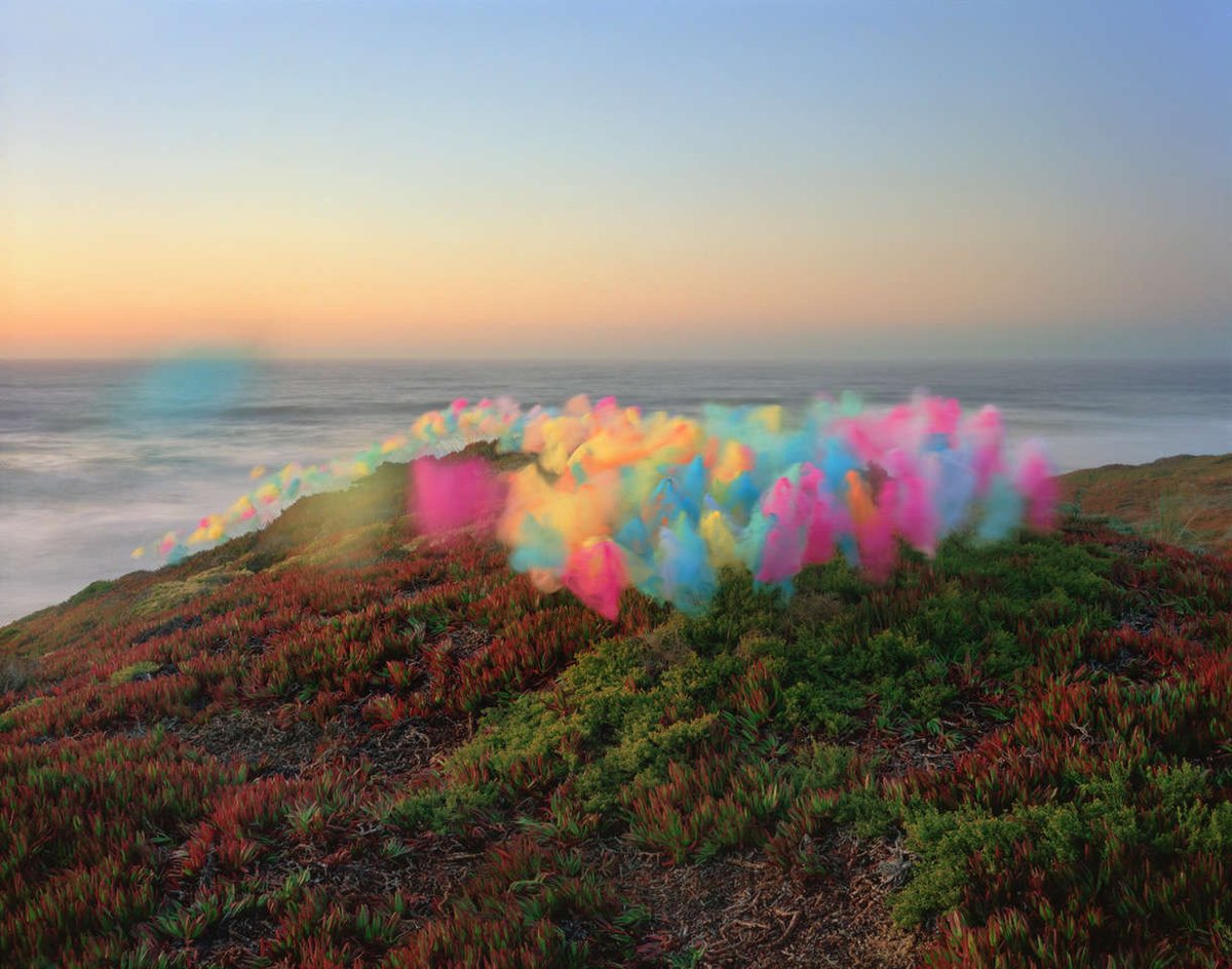 laletraB's tweet photo. Las instalaciones de Thomas Jackson con tutús en paisajes naturales son de una belleza gloriosa. 
#arte #visualcurator https://t.co/htT02tEJOk