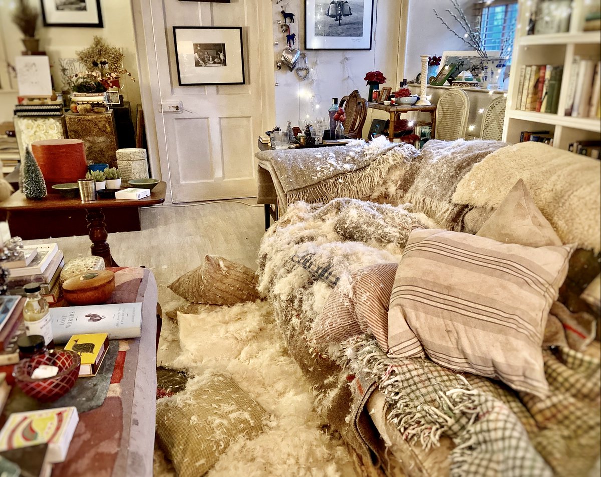taniakindersley's tweet photo. It turns out that Christmas is not Christmas unless Stan the Man has eaten the sofa.

I've got to the bottom of the mystery. It's to do with butter. He steals the butter (he is a lurcher, after all) and  buries it down the back of the sofa and demolishes both. 

#lockupthebutter https://t.co/09DkOfO8ff